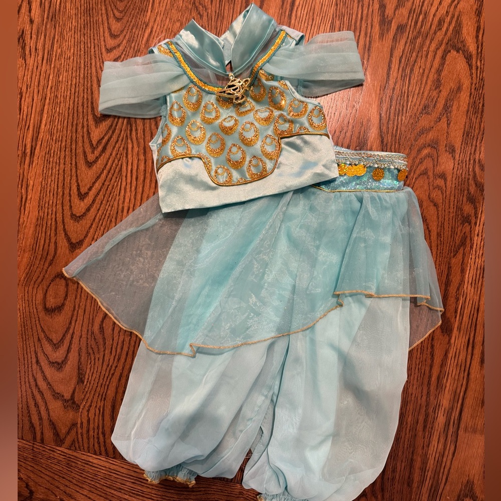 Jasmine Costume